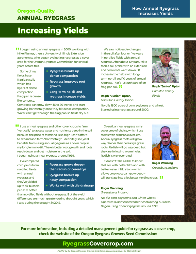 thumbnail of How Annual Ryegrass Increases Yields